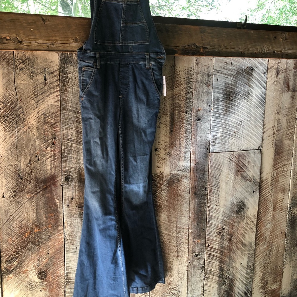 NWT Free People Garden Party Flare Overalls 28